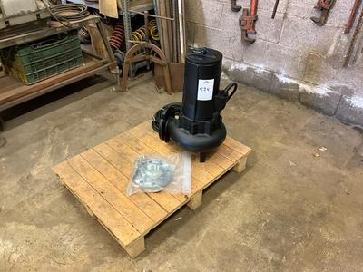 Immagine panoramica di 2011 Alma RW 3030=2T submergable pump