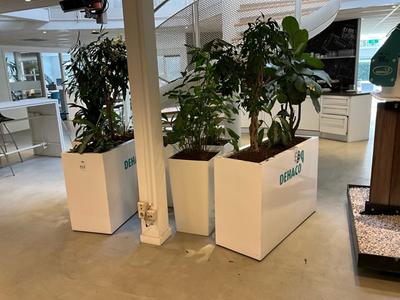 Overzichtsfoto van plantenbak (7x)